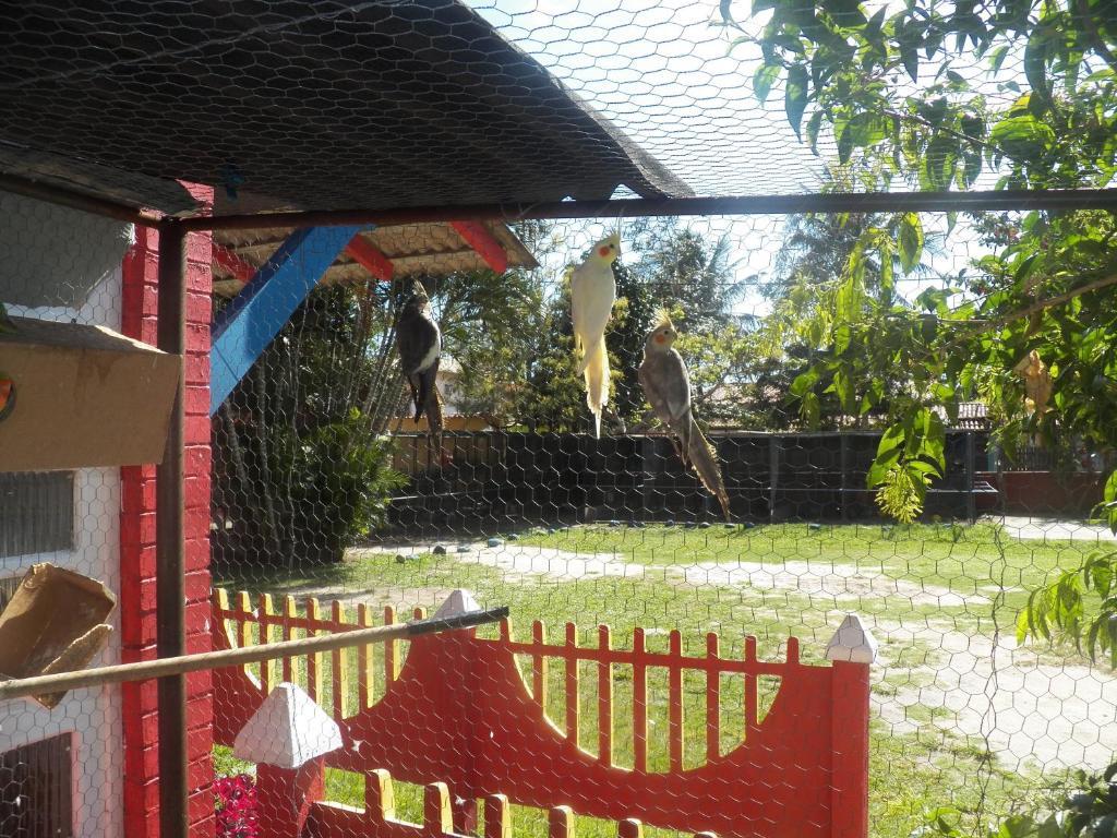 Pousada Solar Das Conchas Cabo Frio Exterior foto